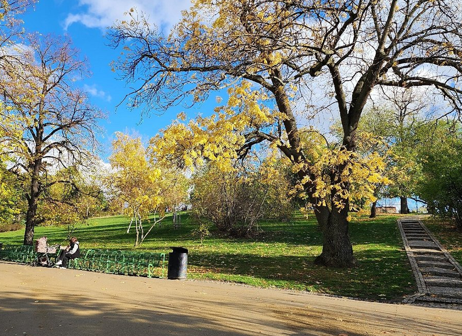 Riegrovy Sady