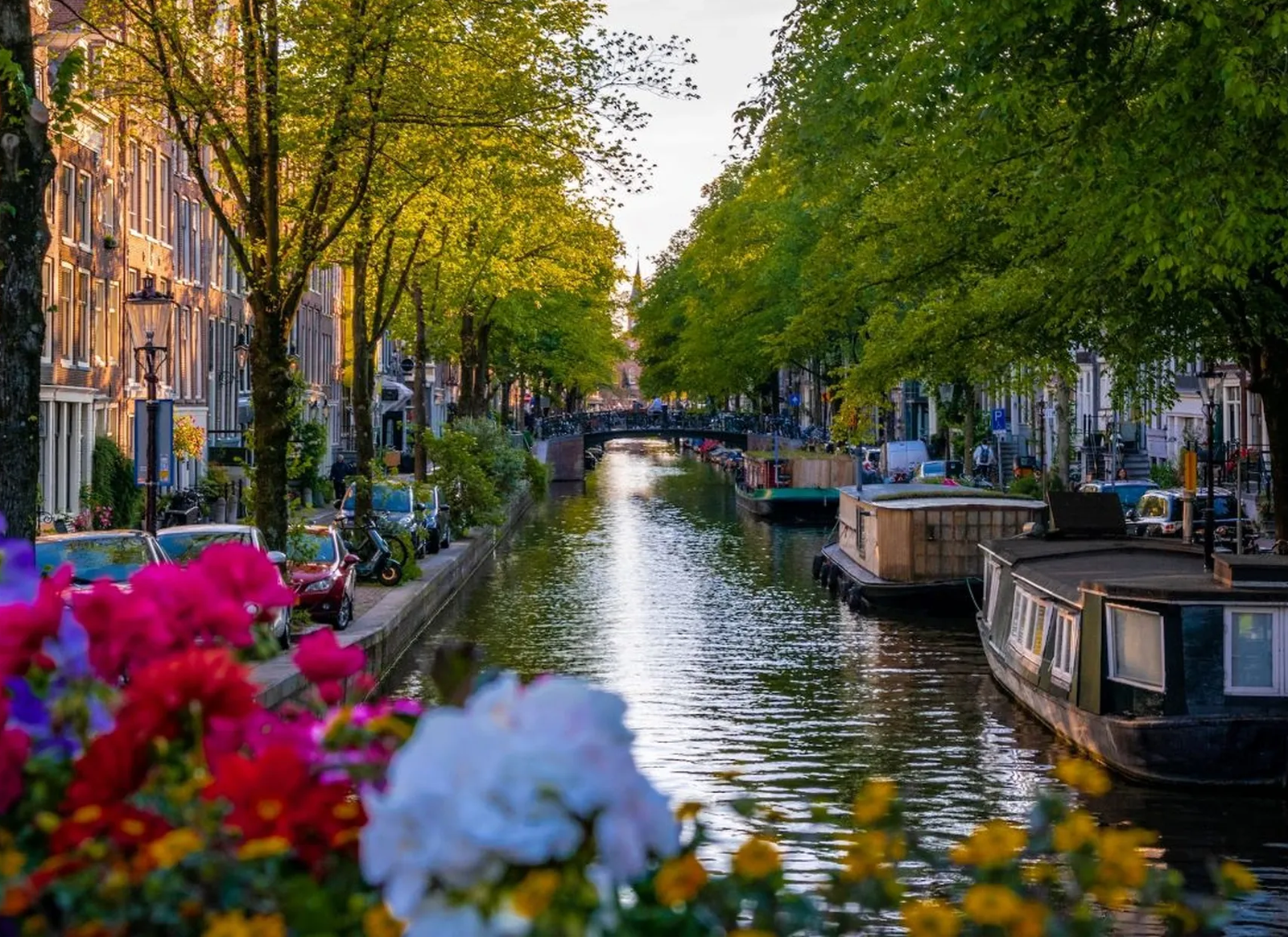 Amsterdam Jordaan District